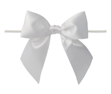Ribbon Warehouse_0029 White Twist Tie Bow