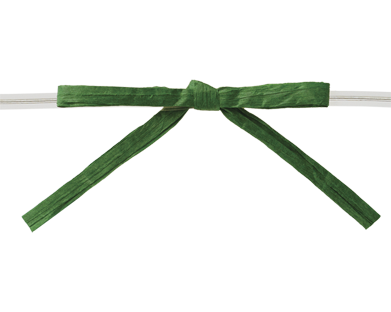 Ribbon Warehouse_0587 Emerald Paper Raffia Bow w/ Clear Twist-Tie