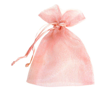 Ribbon Warehouse_Light Pink Sheer Pouch